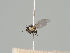  ( - KWi-537)  @11 [ ] CreativeCommons - Attribution Non-Commercial (2018) Marko Mutanen University of Oulu