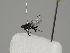  ( - KWi-545)  @11 [ ] CreativeCommons - Attribution Non-Commercial (2018) Marko Mutanen University of Oulu