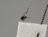  ( - KWi-548)  @12 [ ] CreativeCommons - Attribution Non-Commercial (2018) Marko Mutanen University of Oulu