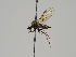  ( - KWi-577)  @12 [ ] CreativeCommons - Attribution Non-Commercial (2018) Marko Mutanen University of Oulu