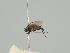  ( - KWi-579)  @11 [ ] CreativeCommons - Attribution Non-Commercial (2018) Marko Mutanen University of Oulu