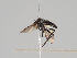  ( - KWi-598)  @11 [ ] CreativeCommons - Attribution Non-Commercial (2018) Marko Mutanen University of Oulu