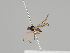  ( - KWi-622)  @11 [ ] CreativeCommons - Attribution Non-Commercial (2018) Marko Mutanen University of Oulu