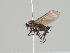  ( - KWi-657)  @11 [ ] CreativeCommons - Attribution Non-Commercial (2018) Marko Mutanen University of Oulu