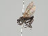  ( - KWi-658)  @11 [ ] CreativeCommons - Attribution Non-Commercial (2018) Marko Mutanen University of Oulu