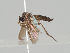  ( - KWi-677)  @12 [ ] CreativeCommons - Attribution Non-Commercial (2018) Marko Mutanen University of Oulu