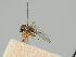  ( - KWi-680)  @11 [ ] CreativeCommons - Attribution Non-Commercial (2018) Marko Mutanen University of Oulu