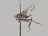  ( - KWi-697)  @11 [ ] CreativeCommons - Attribution Non-Commercial (2018) Marko Mutanen University of Oulu