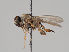  ( - KWi-710)  @11 [ ] CreativeCommons - Attribution Non-Commercial (2018) Marko Mutanen University of Oulu