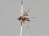  ( - KWi-719b)  @11 [ ] CreativeCommons - Attribution Non-Commercial (2018) Marko Mutanen University of Oulu