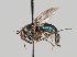  ( - KWi-747)  @11 [ ] CreativeCommons - Attribution Non-Commercial (2018) Marko Mutanen University of Oulu