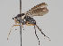  ( - KWi-753)  @11 [ ] CreativeCommons - Attribution Non-Commercial (2018) Marko Mutanen University of Oulu
