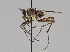  ( - KWi-759)  @14 [ ] CreativeCommons - Attribution Non-Commercial (2018) Marko Mutanen University of Oulu