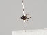  ( - KWi-803)  @11 [ ] CreativeCommons - Attribution Non-Commercial (2018) Marko Mutanen University of Oulu