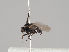  ( - KWi-805)  @11 [ ] CreativeCommons - Attribution Non-Commercial (2018) Marko Mutanen University of Oulu