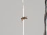  ( - KWi-815)  @11 [ ] CreativeCommons - Attribution Non-Commercial (2018) Marko Mutanen University of Oulu
