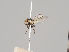  ( - KWi-839)  @11 [ ] CreativeCommons - Attribution Non-Commercial (2018) Marko Mutanen University of Oulu