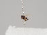  ( - KWi-840)  @11 [ ] CreativeCommons - Attribution Non-Commercial (2018) Marko Mutanen University of Oulu