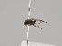  ( - KWi-842)  @11 [ ] CreativeCommons - Attribution Non-Commercial (2018) Marko Mutanen University of Oulu