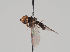  ( - KWi-880)  @11 [ ] CreativeCommons - Attribution Non-Commercial (2018) Marko Mutanen University of Oulu