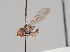  ( - KWi-884)  @11 [ ] CreativeCommons - Attribution Non-Commercial (2018) Marko Mutanen University of Oulu