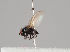  ( - KWi-902)  @11 [ ] CreativeCommons - Attribution Non-Commercial (2018) Marko Mutanen University of Oulu