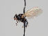  ( - KWi-905)  @11 [ ] CreativeCommons - Attribution Non-Commercial (2018) Marko Mutanen University of Oulu