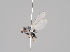  ( - KWi-912)  @11 [ ] CreativeCommons - Attribution Non-Commercial (2018) Marko Mutanen University of Oulu