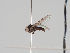  ( - KWi-921)  @11 [ ] CreativeCommons - Attribution Non-Commercial (2018) Marko Mutanen University of Oulu