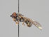 ( - KWi-922)  @11 [ ] CreativeCommons - Attribution Non-Commercial (2018) Marko Mutanen University of Oulu