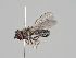  ( - KWi-923)  @11 [ ] CreativeCommons - Attribution Non-Commercial (2018) Marko Mutanen University of Oulu