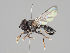  ( - KWi-924)  @11 [ ] CreativeCommons - Attribution Non-Commercial (2018) Marko Mutanen University of Oulu