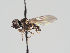  ( - KWi-933)  @11 [ ] CreativeCommons - Attribution Non-Commercial (2018) Marko Mutanen University of Oulu