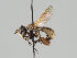  ( - KWi-948)  @11 [ ] CreativeCommons - Attribution Non-Commercial (2018) Marko Mutanen University of Oulu