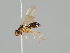  ( - KWi-957)  @11 [ ] CreativeCommons - Attribution Non-Commercial (2018) Marko Mutanen University of Oulu