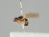  ( - KWi-958)  @11 [ ] CreativeCommons - Attribution Non-Commercial (2018) Marko Mutanen University of Oulu
