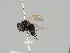 ( - KWi-968)  @11 [ ] CreativeCommons - Attribution Non-Commercial (2018) Marko Mutanen University of Oulu
