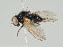  ( - KWi-969)  @11 [ ] CreativeCommons - Attribution Non-Commercial (2018) Marko Mutanen University of Oulu