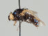  ( - KWi-971)  @11 [ ] CreativeCommons - Attribution Non-Commercial (2018) Marko Mutanen University of Oulu