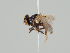  ( - KWi-975)  @11 [ ] CreativeCommons - Attribution Non-Commercial (2018) Marko Mutanen University of Oulu
