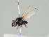  ( - KWi-976)  @11 [ ] CreativeCommons - Attribution Non-Commercial (2018) Marko Mutanen University of Oulu