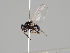  ( - KWi-986)  @11 [ ] CreativeCommons - Attribution Non-Commercial (2018) Marko Mutanen University of Oulu