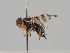  ( - KWi-992)  @11 [ ] CreativeCommons - Attribution Non-Commercial (2018) Marko Mutanen University of Oulu