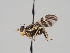  ( - KWi-993)  @11 [ ] CreativeCommons - Attribution Non-Commercial (2018) Marko Mutanen University of Oulu