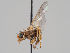  ( - KWi-996)  @11 [ ] CreativeCommons - Attribution Non-Commercial (2018) Marko Mutanen University of Oulu