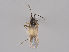  ( - MZH_KZ.7768)  @11 [ ] CreativeCommons - Attribution Non-Commercial (2018) Marko Mutanen University of Oulu