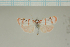  ( - MJP00027)  @11 [ ] CreativeCommons - Attribution Non-Commercial (2018) Marko Mutanen University of Oulu
