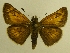 ( - MM17112)  @14 [ ] Unspecified (default): All Rights Reserved  Unspecified Unspecified