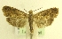  ( - MM17113)  @14 [ ] Unspecified (default): All Rights Reserved  Unspecified Unspecified