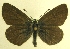  (Eumedonia - MM17140)  @14 [ ] Unspecified (default): All Rights Reserved  Unspecified Unspecified